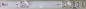 Preview: H55B750 SET5 5xSH55D14-ZC29AG-03D 303SH550032D LED Backlight