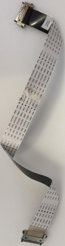 110305A1 30070069