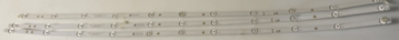 55S3N   55850US-TIB  Set3  3xSW55D11-ZC62AG-02   2019-08-01  11S1P LED Backlight  für  55850US-TIB   55S3N